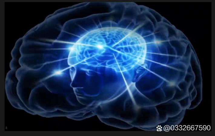 综艺节目录制现场突发意外，主持人当场晕倒
